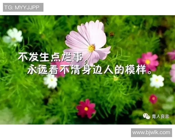 张秀英的排球旅程：从赛场辉煌到人生感悟的深度对话