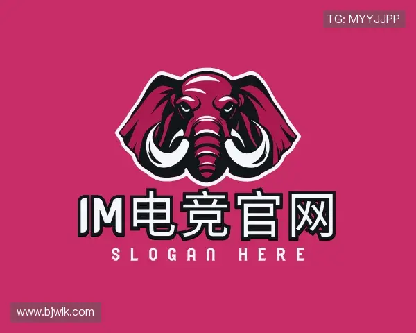 解读IM电竞